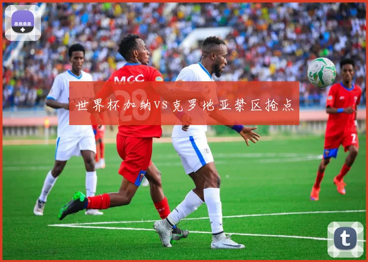 世界杯加纳vs克罗地亚禁区抢点