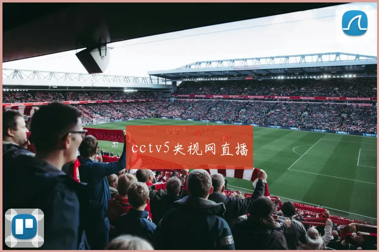 cctv5央视网直播