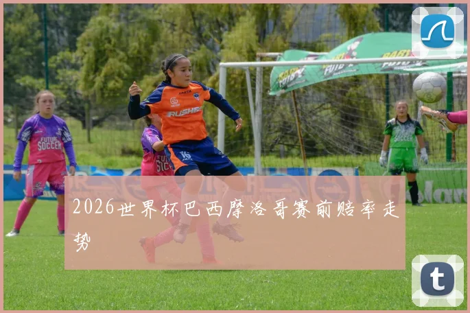 2026世界杯巴西摩洛哥赛前赔率走势