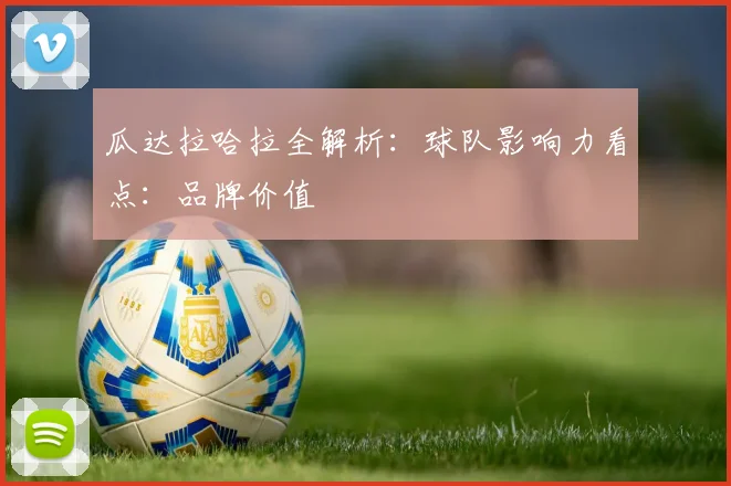 瓜达拉哈拉全解析：球队影响力看点：品牌价值
