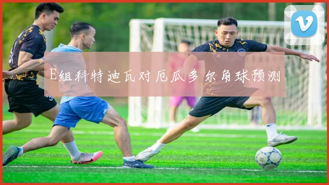 E组科特迪瓦对厄瓜多尔角球预测