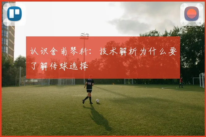 认识舍甫琴科：技术解析为什么要了解传球选择